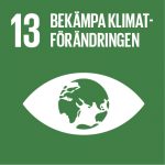 Miljömål nr 13