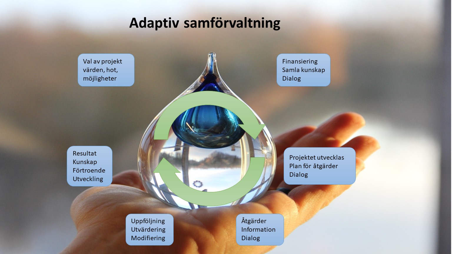 adaptiv_samforvaltning Adaptiv samförvaltning/bosfärmodellen