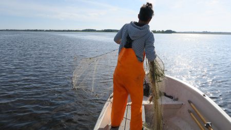 Provfiske I Hammarsjön. Foto: Andreas Jezek