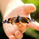 Möt naturen på naturum