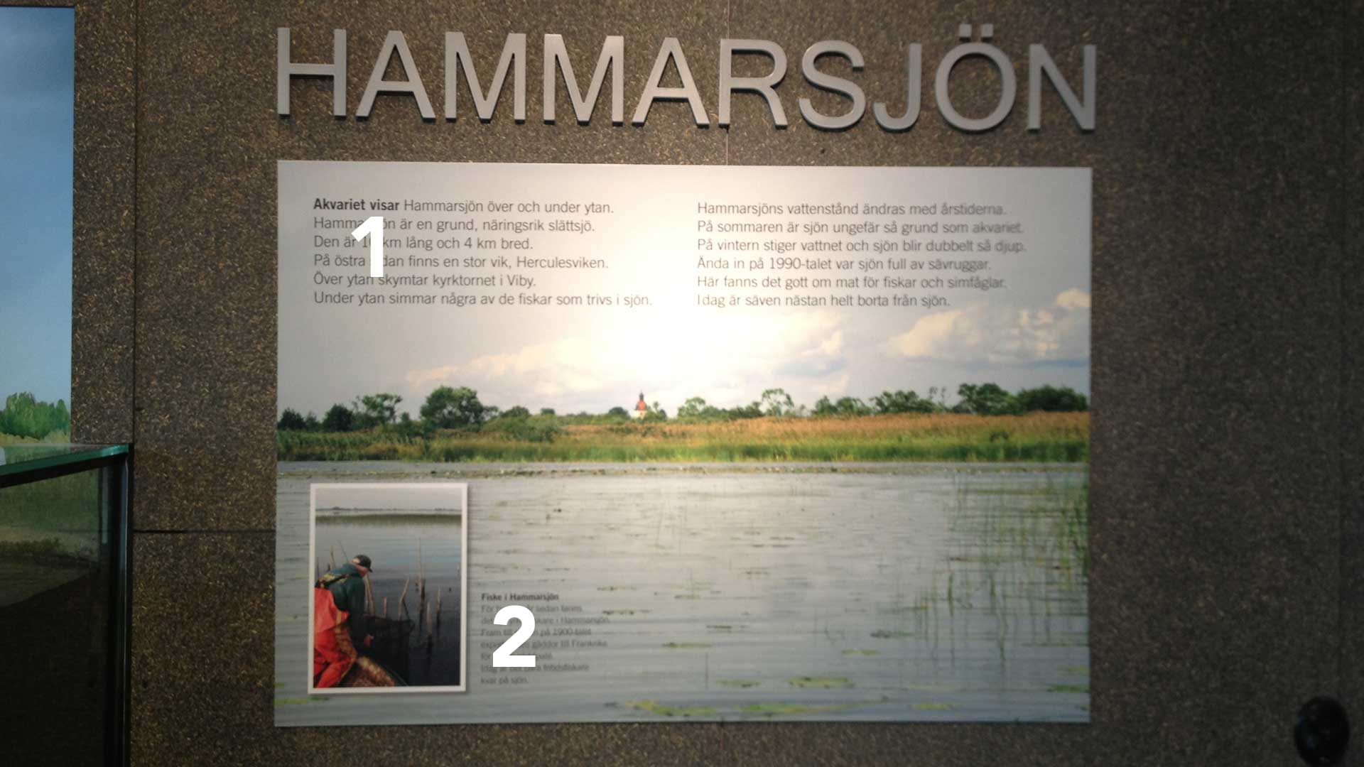 Exhibition - Lake Hammarsjön