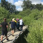 Spångsafari. Foto Biosfärkontoret