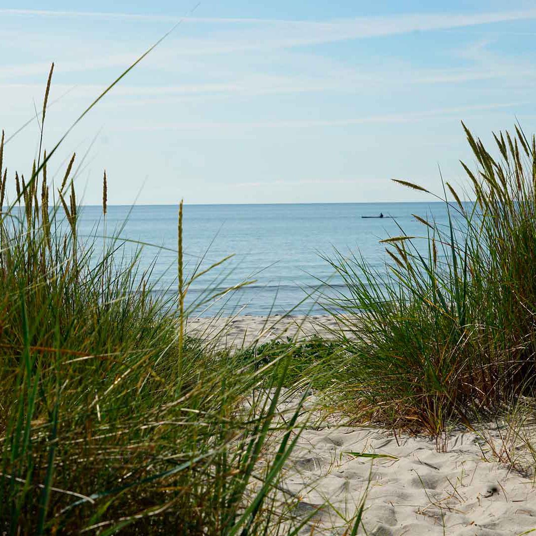 strand_cecilia-sanden Strand. Foto Cecilia Sandén, Kristianstads kommun