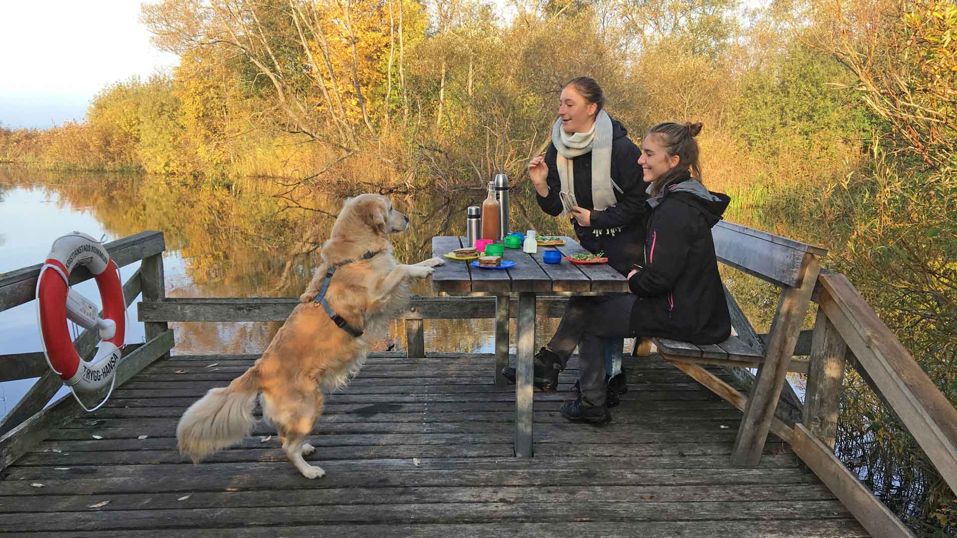 Två kvinnor och en hund fikar på bryggan vid Ekenabben. Foto Åsa Pearce
