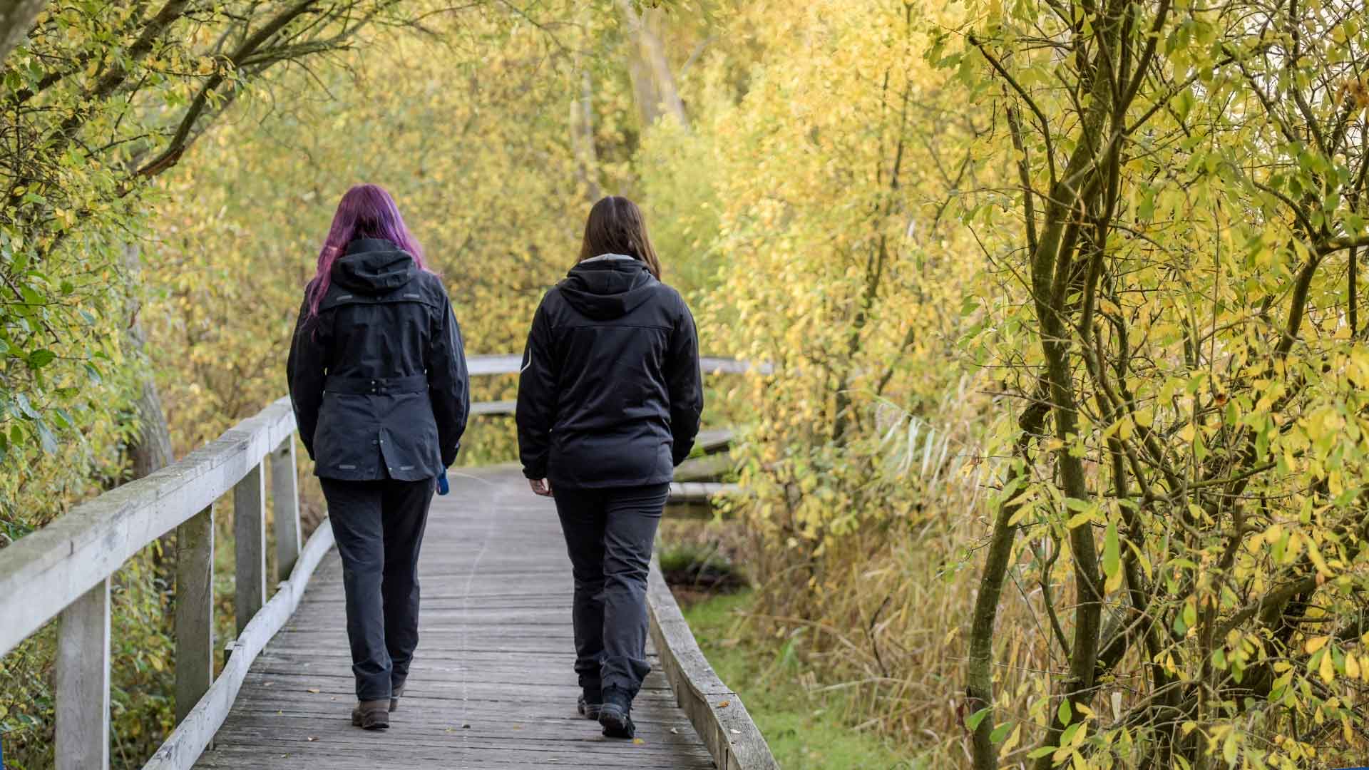 Två kvinnor promenerar på spången i Ekenabbens alsumpskog. Foto Jennie Ahlqvist