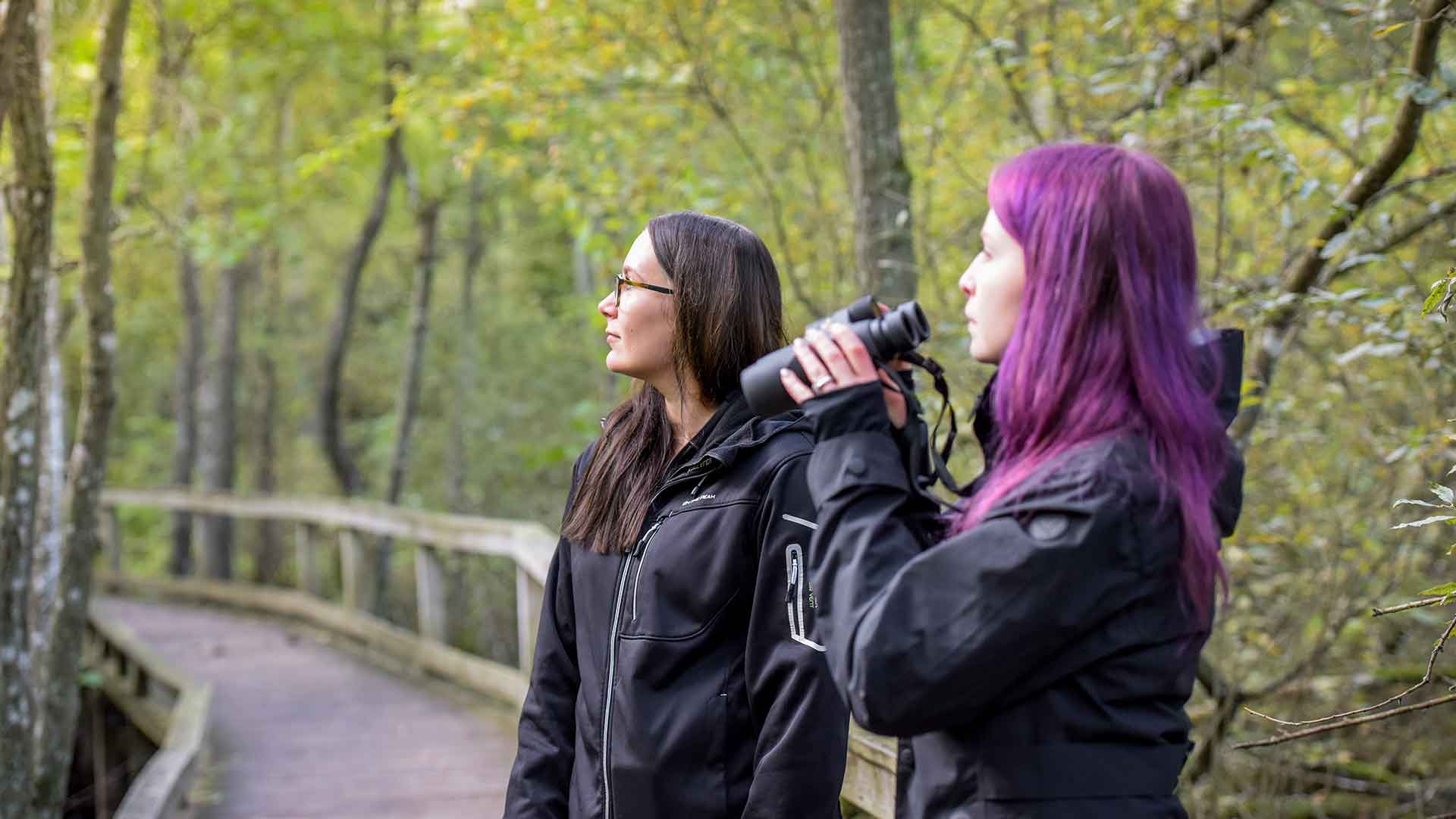 Två kvinnor står på spången i Ekenabbens alsumpskog. Den ena håller i en kikare. Foto Jennie Ahlqvist
