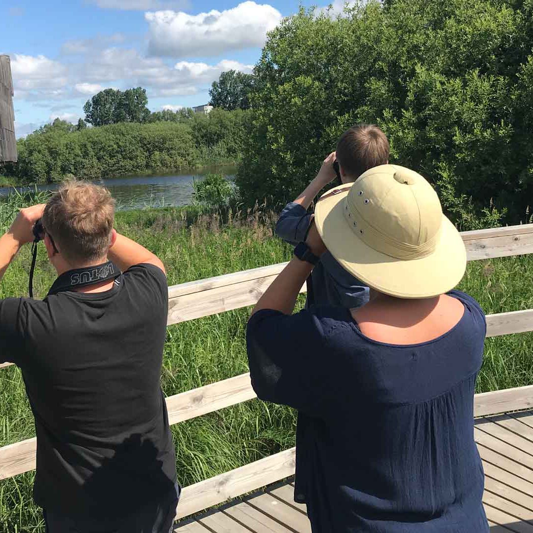 Fyra personer står på en spång med kikare och blickar ut över naturumsjön och naturum.
