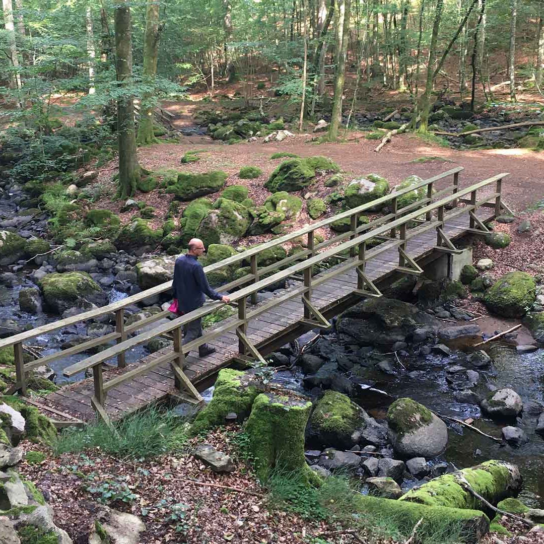 en bro över vattendrag i en bokskogsravin