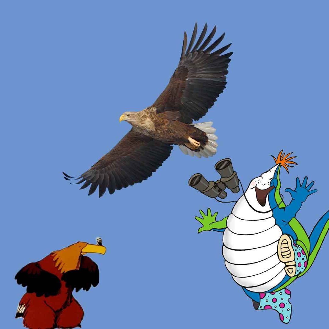 En havsörn flyger mot en blå himmel. Fantasifiguren Plask skuttar i förgrunden och till vänster är den tecknade örnen Örjan med en liten fågel på näbben.