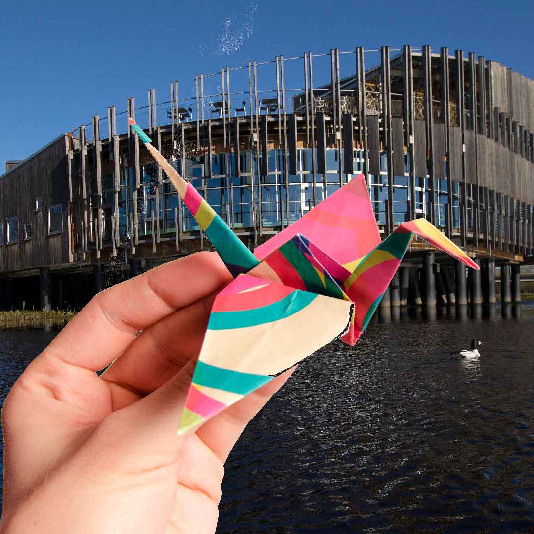 tranor_far_flyg En hand håller upp en vikt papperstrana framför naturum.