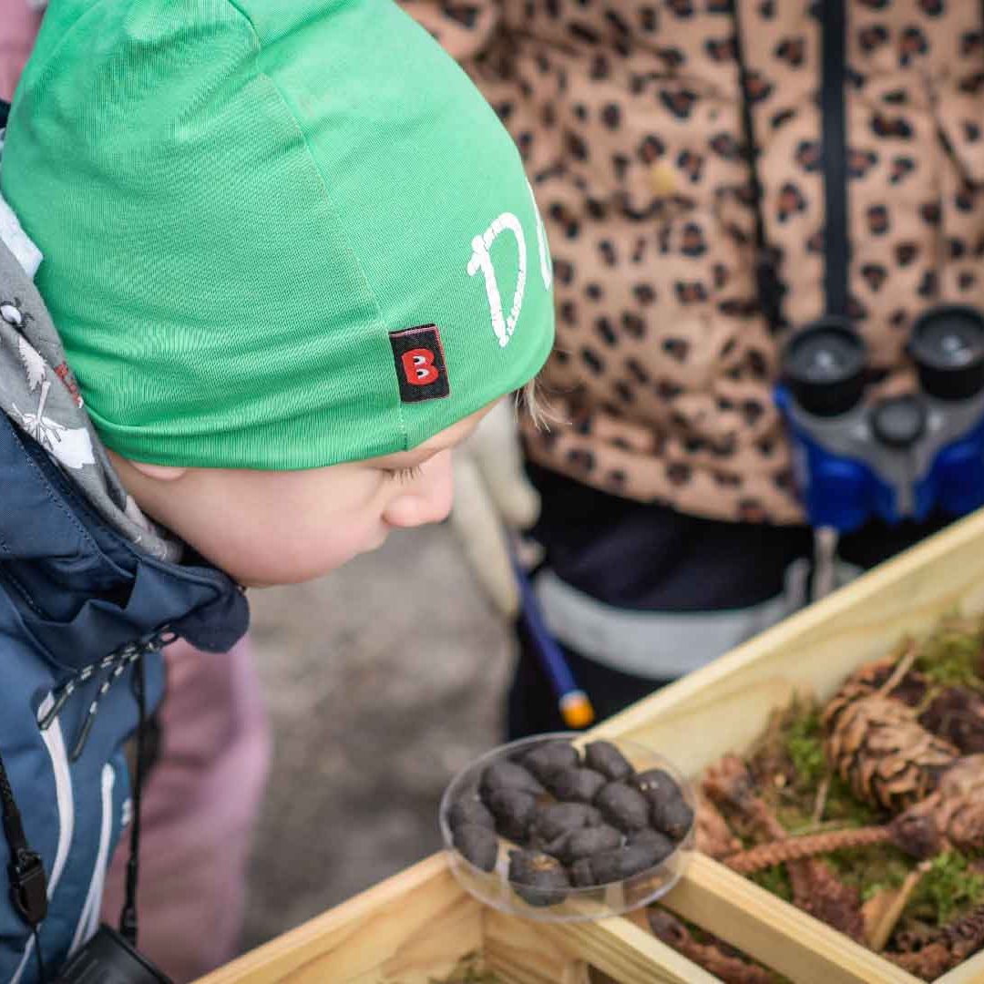 Ett barn i grön mossa böjer sig fram och tittar på kottar och djurspillning i lådor. Foto: Jennie Ahlqvist.