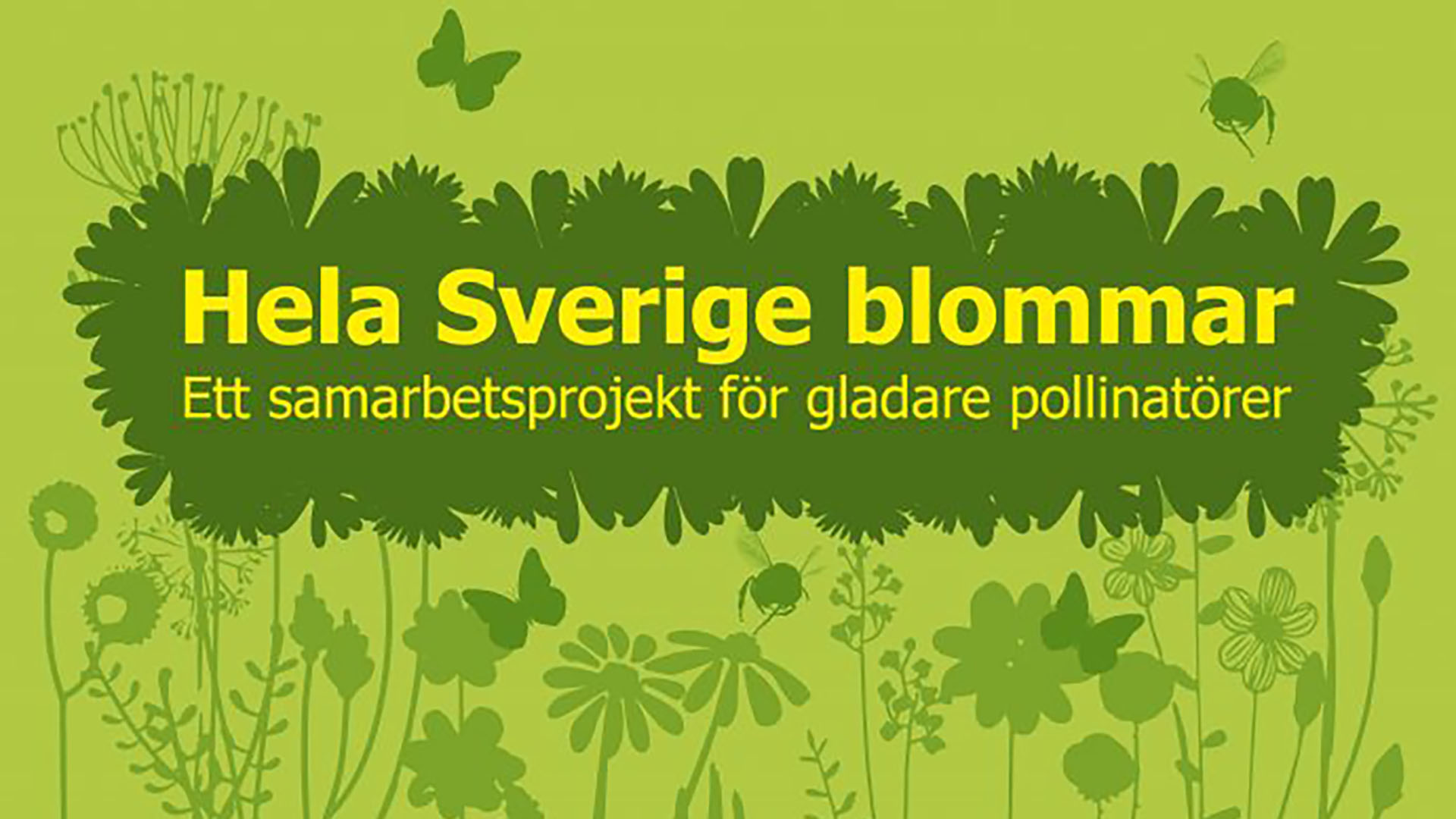 Ljusgrön bild med mörkare gröna blommor i siluett. Texten Hela Sverige blommar ett samarbete för gladare pollinatörer i gult.