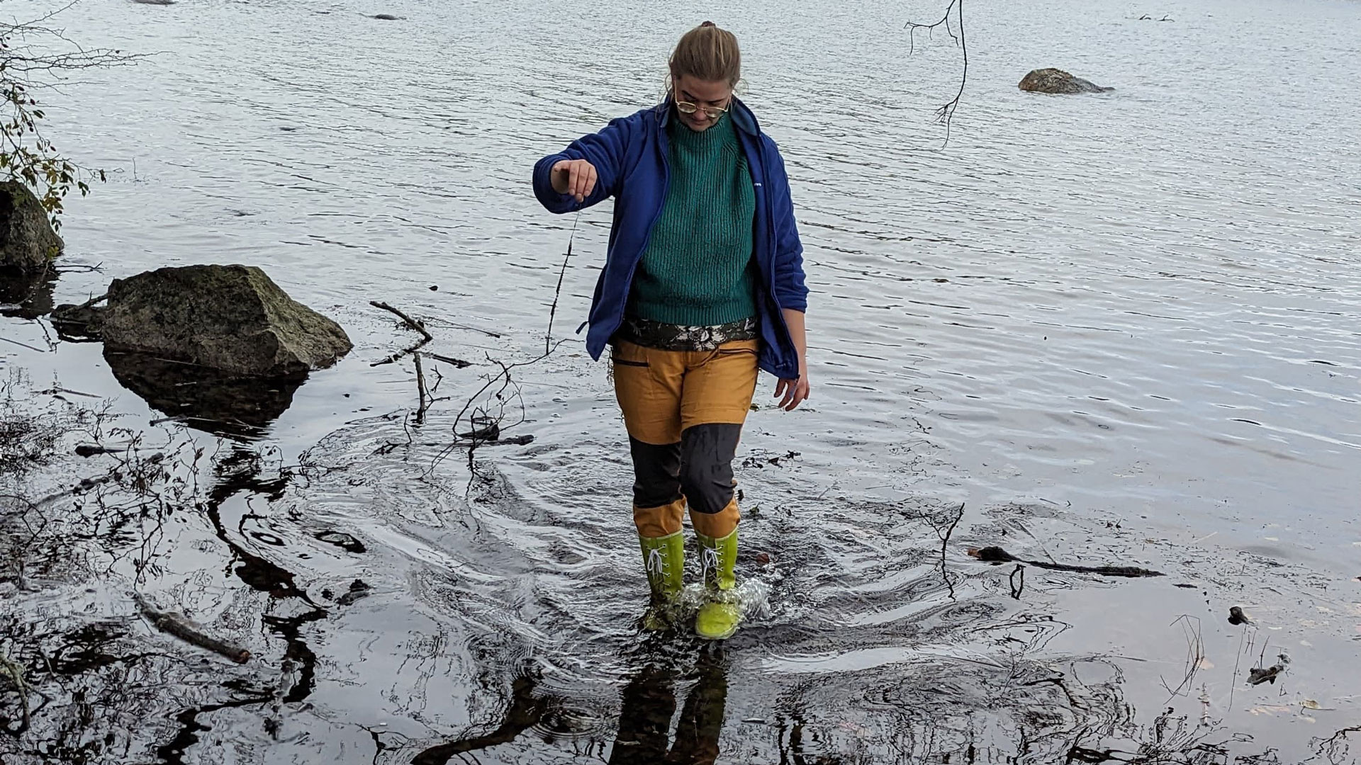 Doktorand Anna Borgström hämtar vattenväxter i en sjö till mitt experiment om olika vattenväxter har någon effekt på reducering av fosfor, kväve, organiskt kol och vattenfärg. Foto: Privat