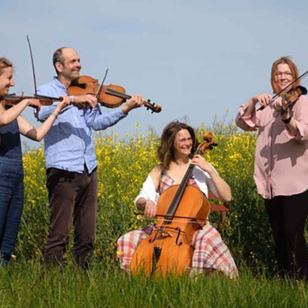 Fyra musiker med fioler och en cello står framför ett rapsfält. Foto: Bellevue String Quartet.