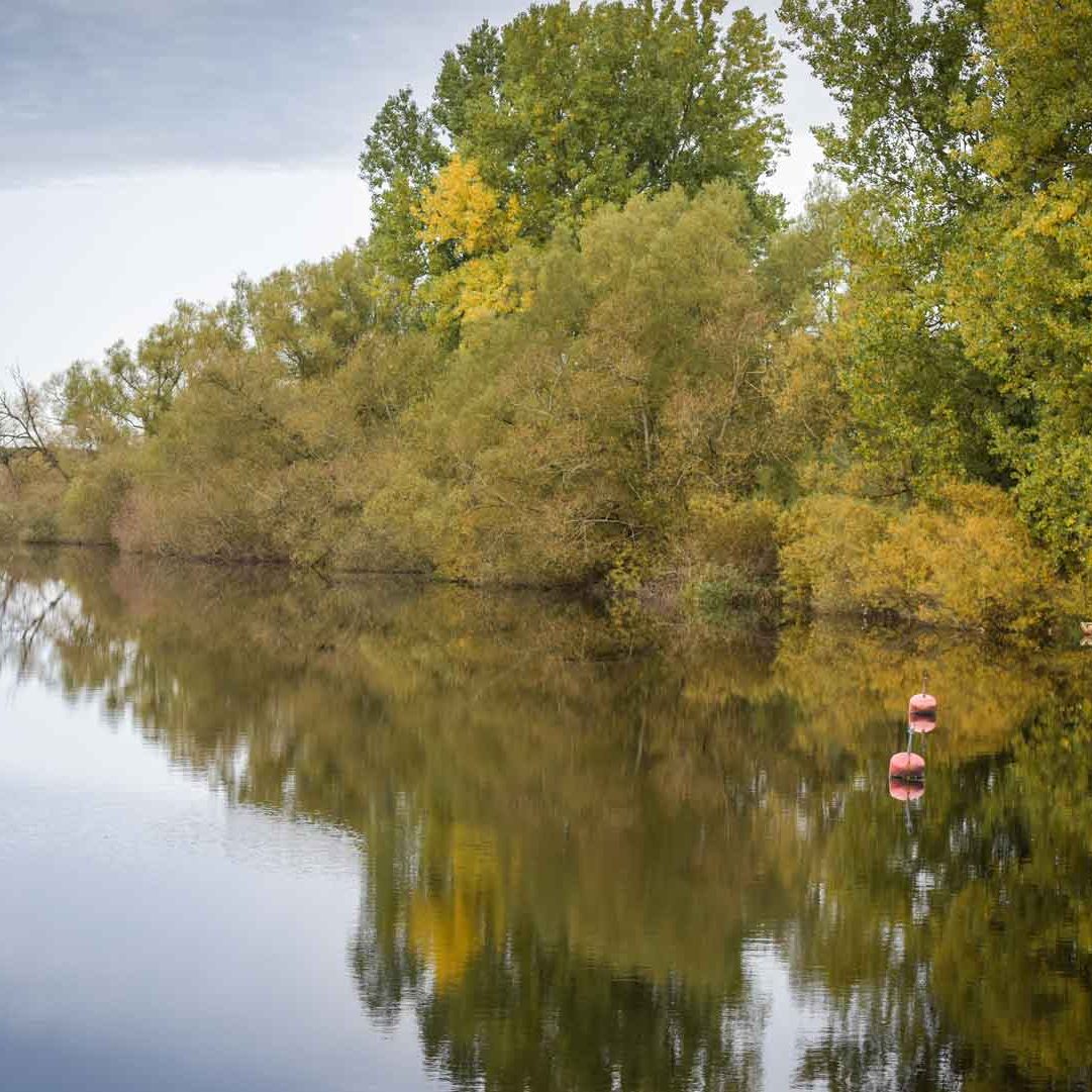 Helge å ligger blank och träden längs ån skiftar från grönt till höstfärger. Foto Biosfärkontoret