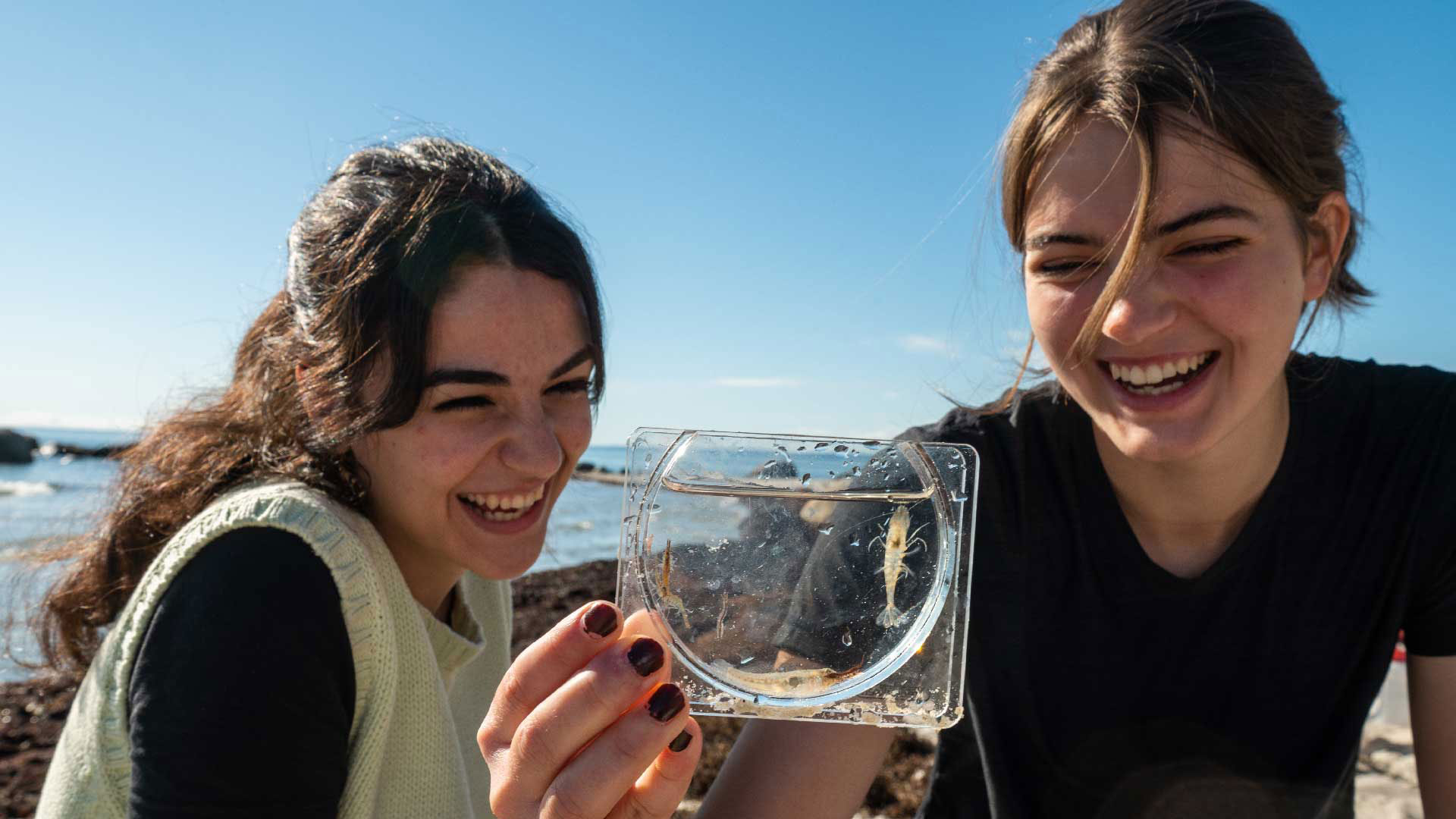 Två glada tjejer sitter på stranden och håller upp en kuvett med en räka i. Foto Johan Hammar.