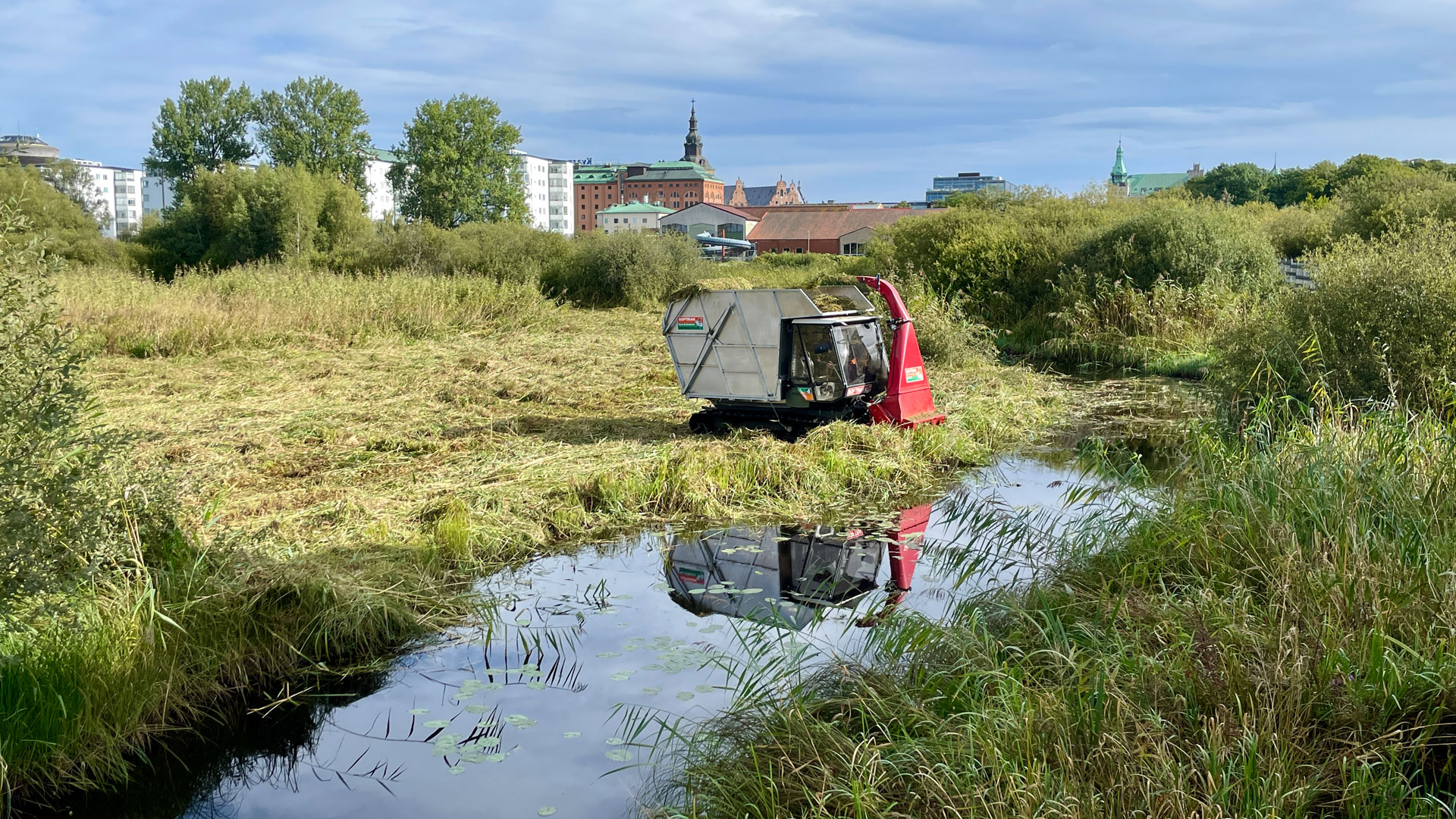 våtslåtter vid naturum