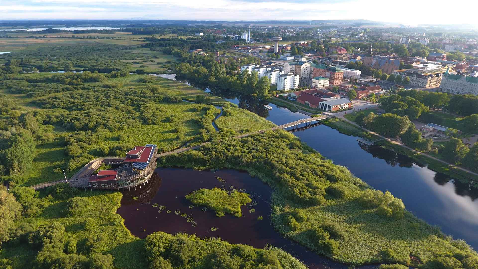 Naturum Vattenriket ligger mitt i våtmarkerna och mitt i Kristianstad. Foto: Patrik Olofsson/N