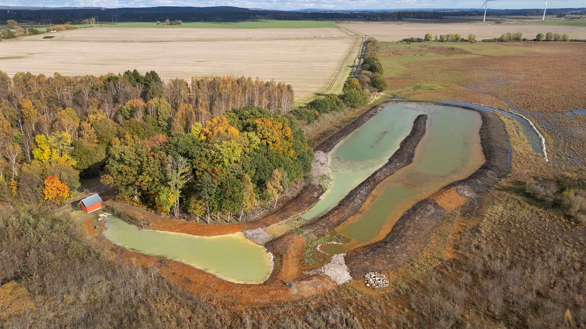 Flygbild över en våtmark med grönaktigt vatten och ockrafärgad jord.