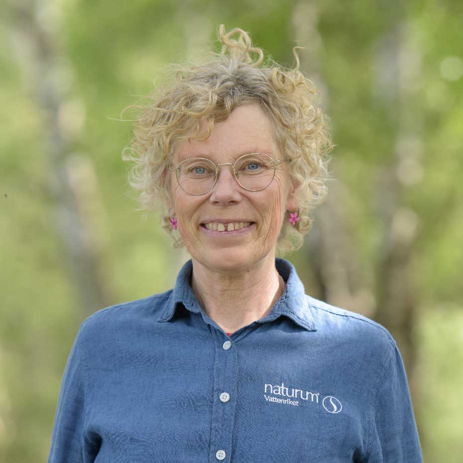 karin Karin Magntorn