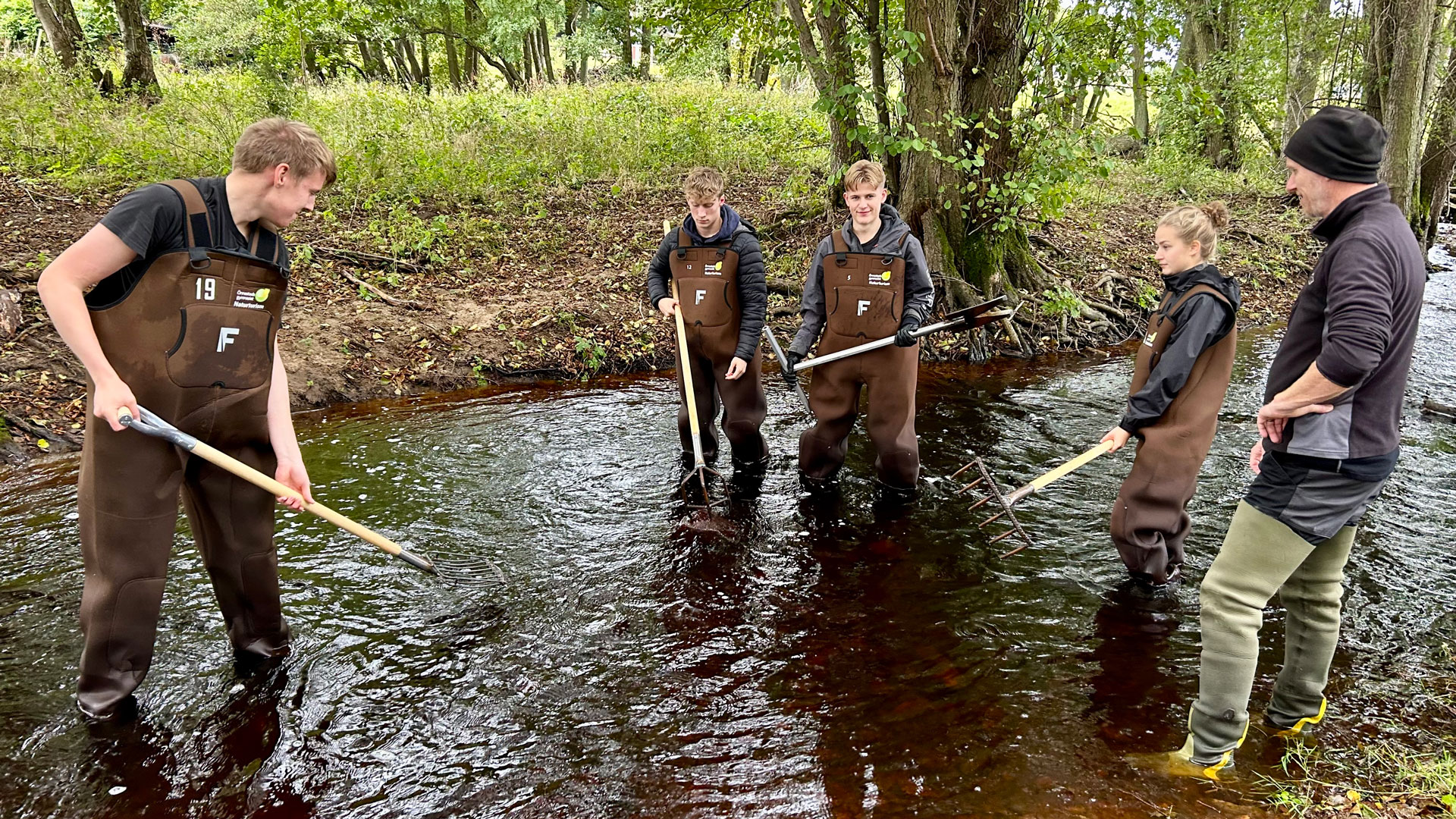 Eleverna använder den så kallade Hartijoki-metoden för att luckra upp åns botten så att fisken hittar bra lekplatser.