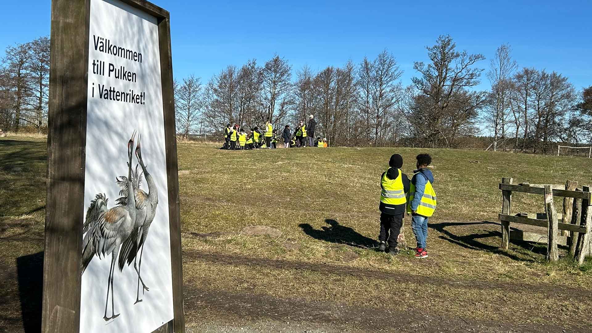 En skylt med tranor och barn i gula reflexvästar i strålande vårsol vid Pulken.