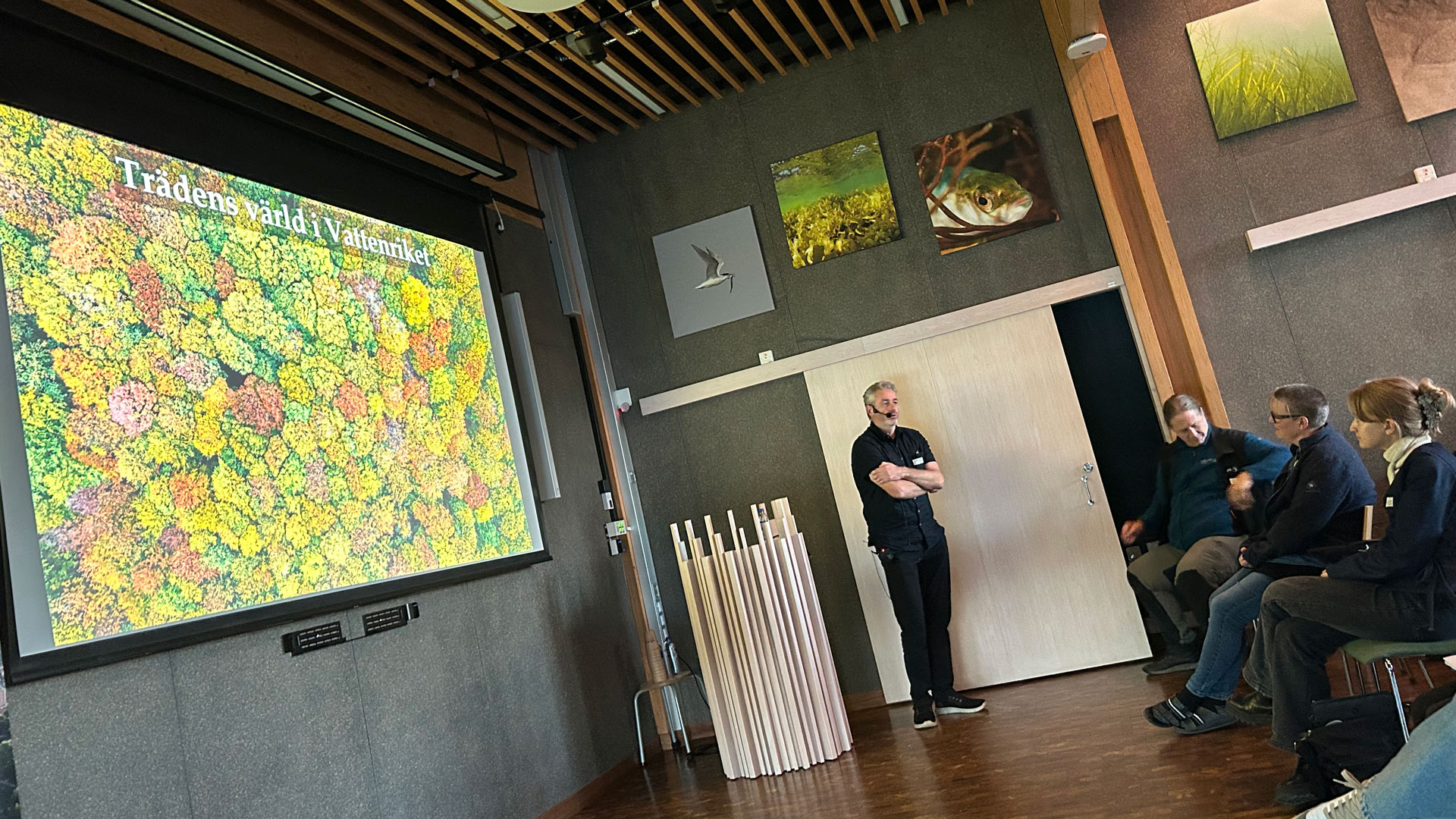 Biosfär 2025. Träden i Vattenriket.