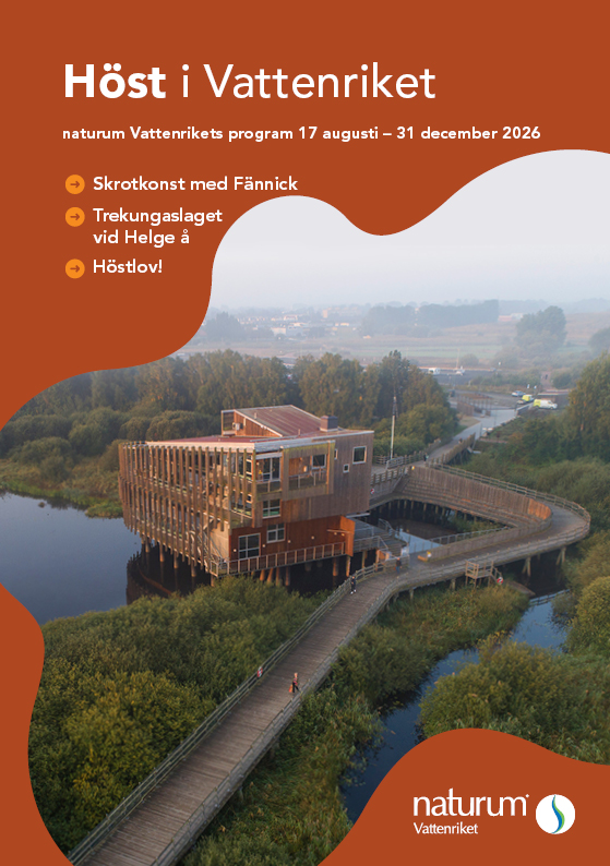 Program_host_2026 naturum Vattenrikets höstprogram är mörkt orange med ett foto på naturum.