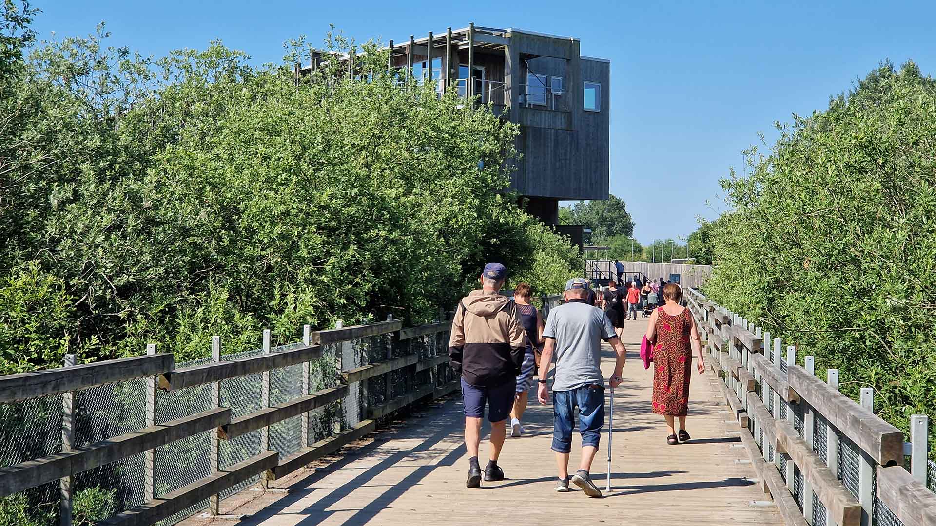 Folk går på naturumbron mot naturum. Foto Biosfärkontoret.