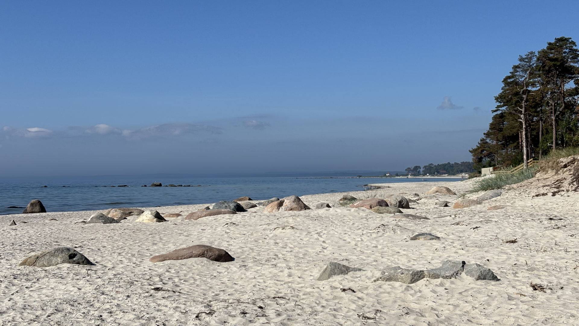 Lärplats Äspetrevet från stranden. Foto: Anna Borgström