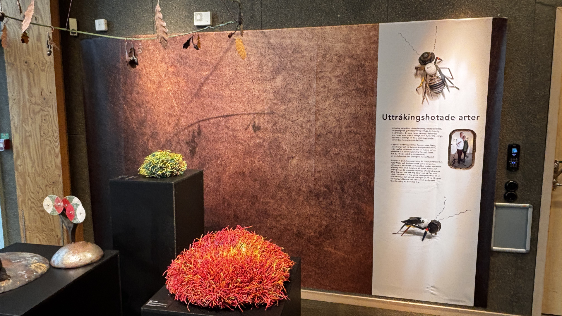Verk ur utställningen Uttråkningshotade arter på naturum Vattenriket. Foto: Jennie Ahlqvist